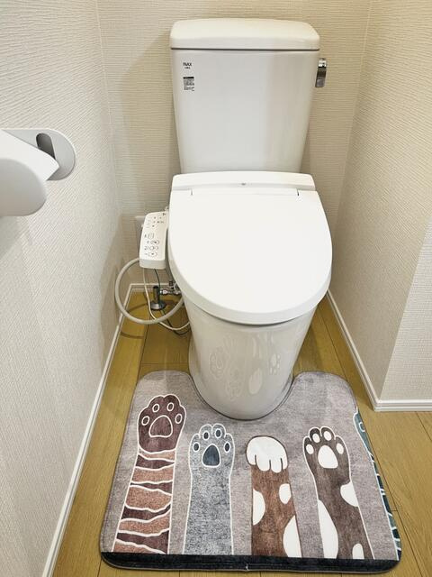 写真はイメージです
