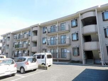 フォレスト松本の画像