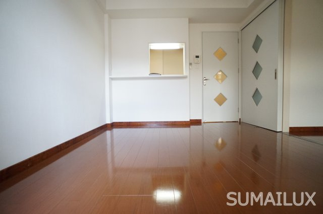 熊本市南区近見８丁目の賃貸マンションの居間・リビング