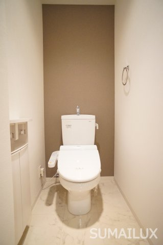 熊本市南区近見８丁目の賃貸マンションのトイレ