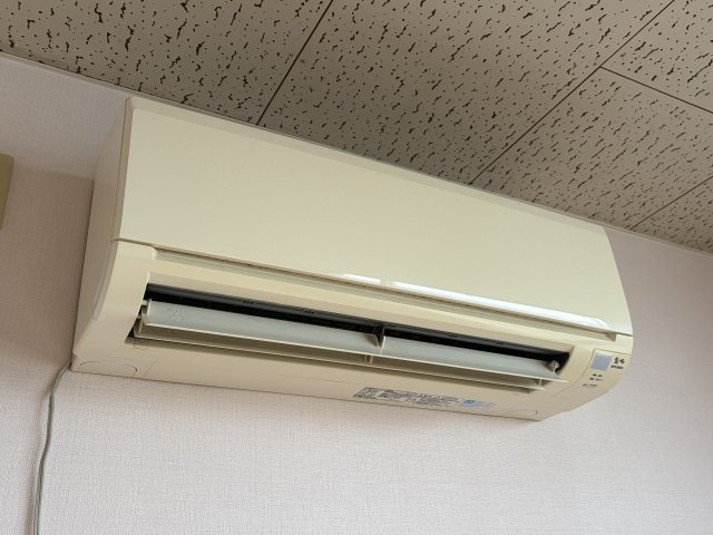 アラキビルのその他