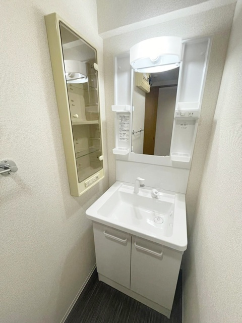 藤沢市大鋸１丁目の賃貸マンションの洗面所