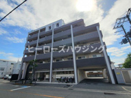 ラピスの画像