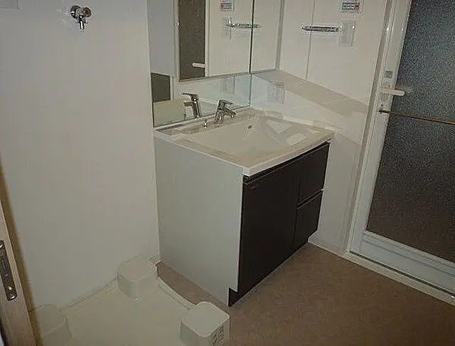 フェールメゾン西大島の洗面所