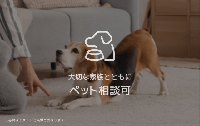 シャーメゾン高宮通りのその他