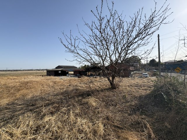 比企郡吉見町万光寺 土地610坪の外観