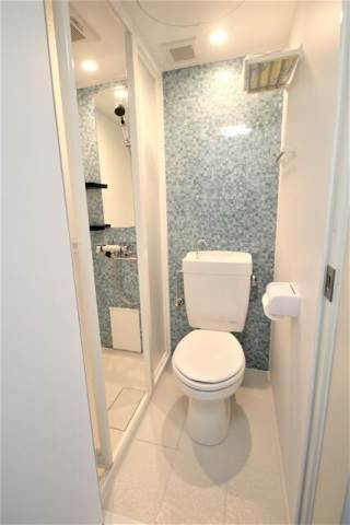 川崎市多摩区生田８丁目のアパートのトイレ|落ち着いたトイレです