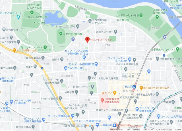 小杉フラワーハイツの地図|物件所在地になります。