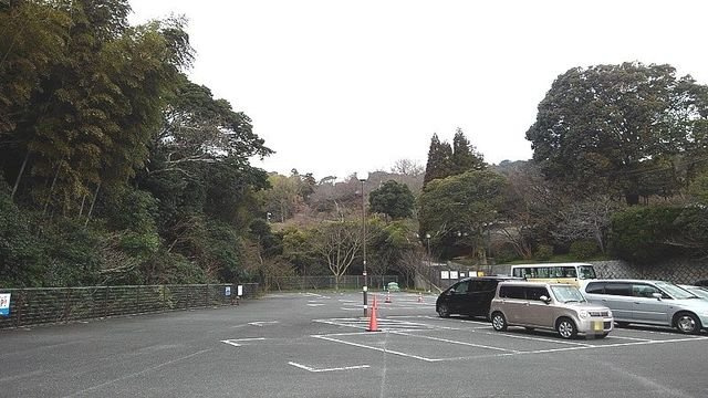 メゾン　プレジィールの周辺|白野江植物公園まで1300m