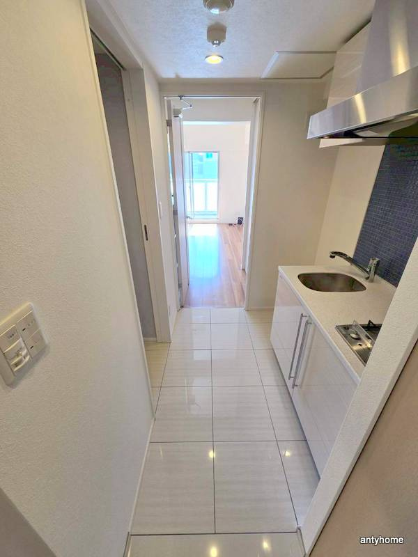 エスライズ北堀江スワン　仲介手数料無料の内装