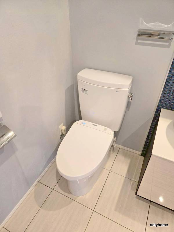 エスライズ北堀江スワン　仲介手数料無料のトイレ