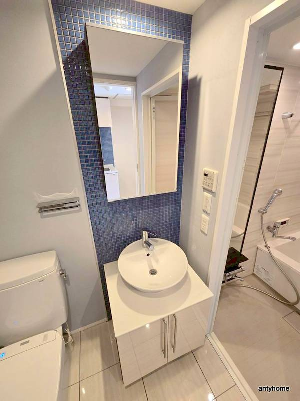 エスライズ北堀江スワン　仲介手数料無料の洗面所