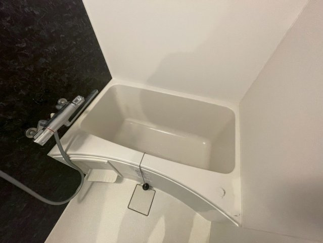 エグゼ難波WESTリバーの浴室