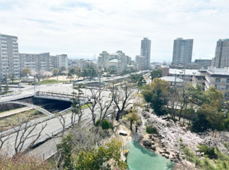 【展望】 | ザ・ハウス住吉本町 | 5階最上階、前面棟無なので眺望・日当たり良好です
