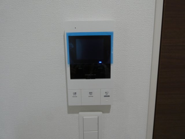 【その他】 | F asecia laso