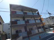 F asecia lasoの画像