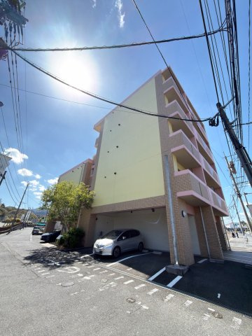 リオンドールヤナギ