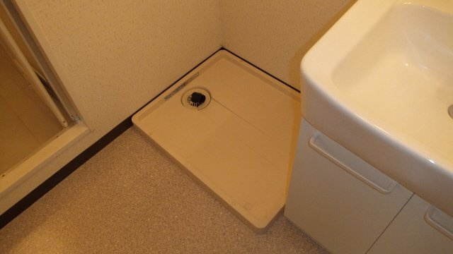 ゴールデンタウン岡崎の玄関|室内洗濯機置き場