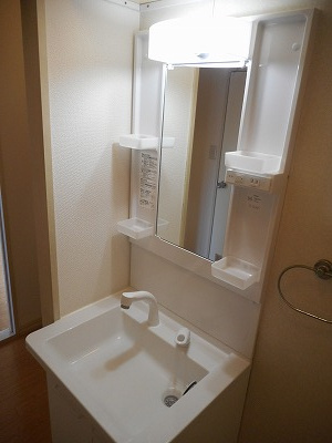 テラスワンの洗面所