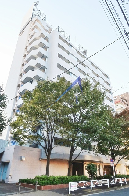 アクシルコート新大橋