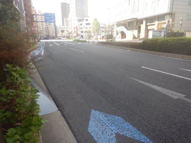 ライオンズマンション文京第２のその他|前面道路