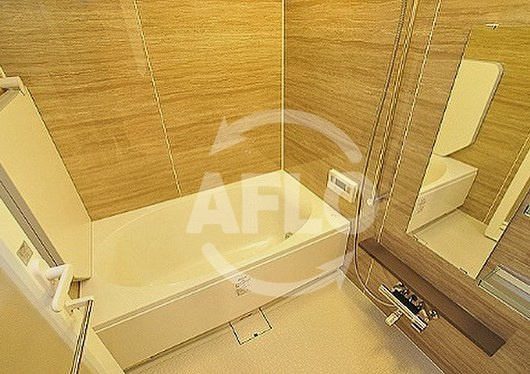 阿波座ライズタワーズフラッグ46　ＯＭＰタワーの浴室|阿波座ライズタワーフラッグ46　ＯＭＰタワー　浴室