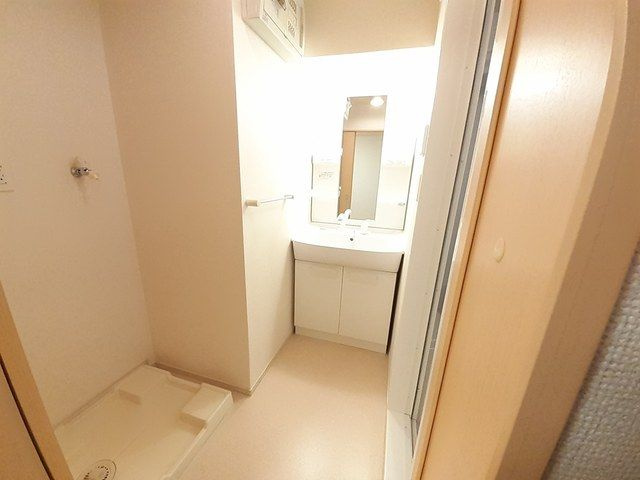 メゾン　スプリングスの洗面所
