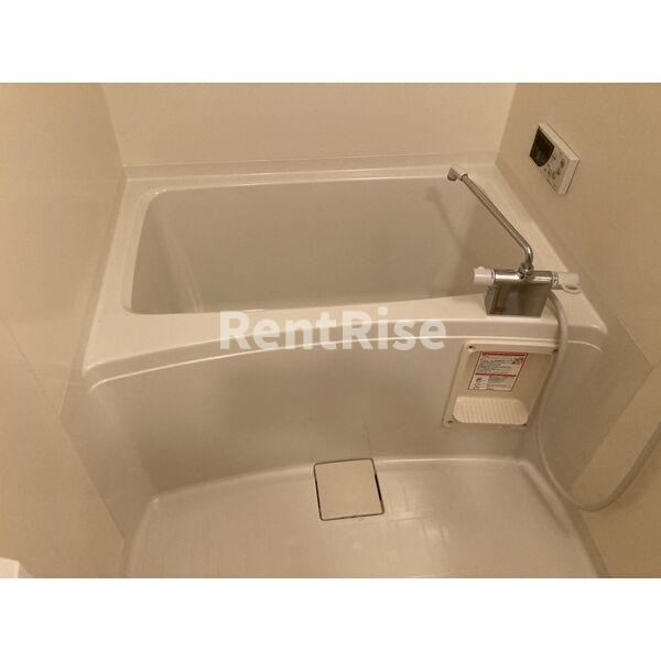 CoqGasseauの展望