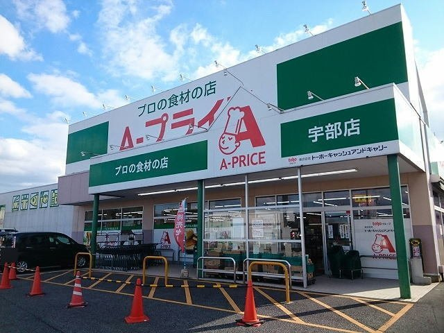 【周辺】 | サン　メゾン　Ｅ | A－プライスまで800m