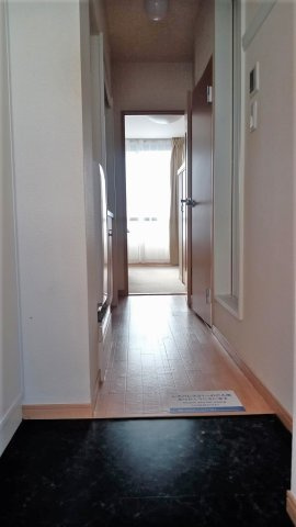 レオパレスアピラの玄関