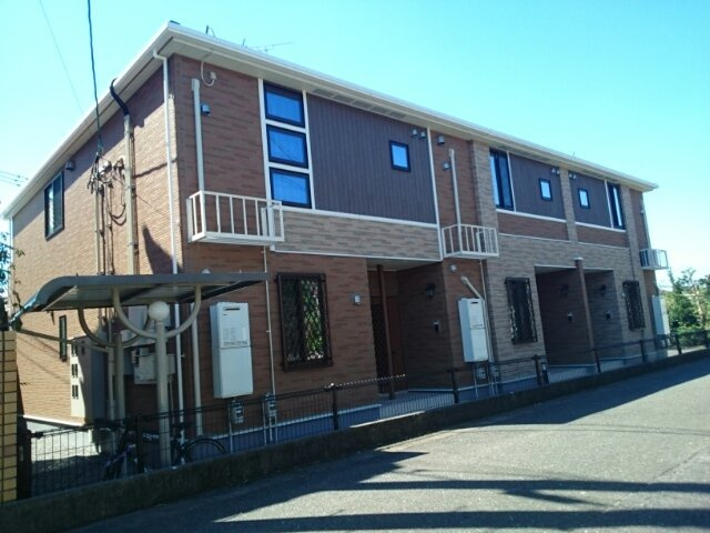 ウォール　ナット　グローブ