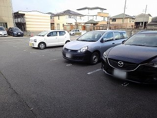 レオネクストサンベストのその他