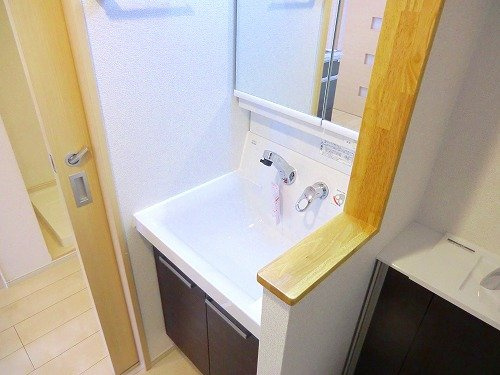 ブリーズコート城北の洗面所