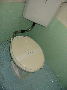 グリーンフラットのトイレ|落ち着いた色調のトイレです