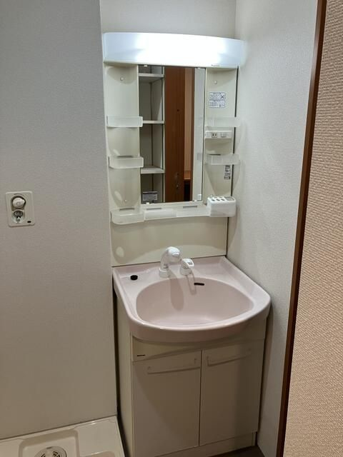 ベルビュー草加の洗面所
