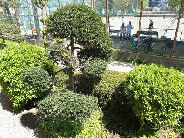 鈴木ガーデンコーポラスの展望