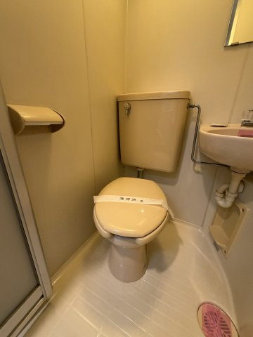 ハイツシスタローザのトイレ
