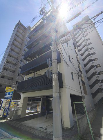 チェメントの外観