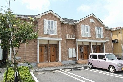 クィーンＤの画像