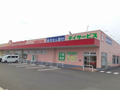 【周辺】 | ニューフィールド　ビレッジⅠ | ヤックスドラック木更津江川店まで550m