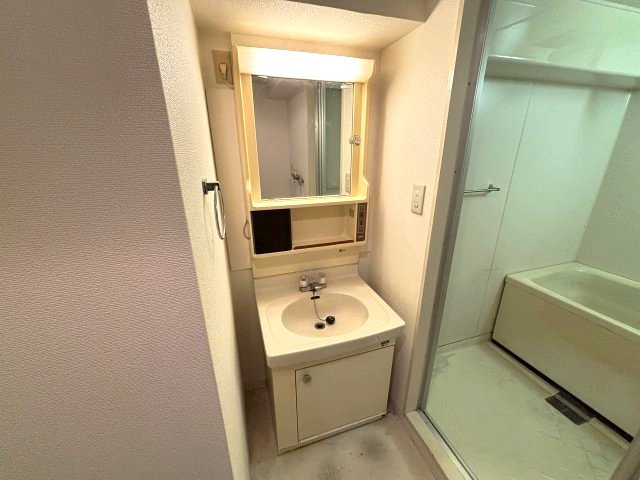 プラントパイン御影の独立洗面台