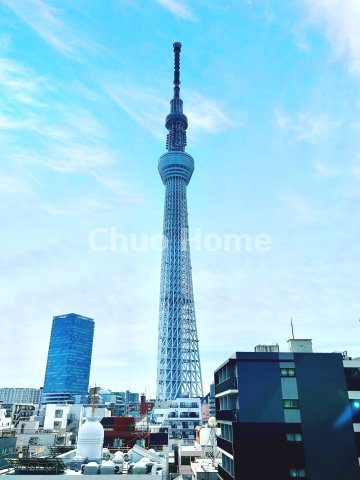 向島パークハイツ第2の展望|スカイツリーを目の前に望む