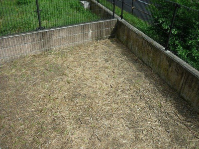 【庭】 | ローズ・フルール