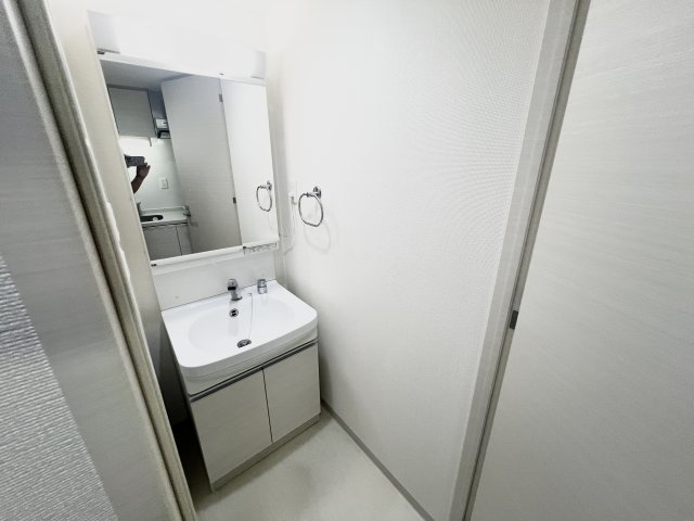 アドバンス難波南シャルムの洗面所