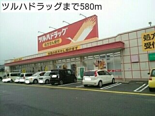 フィオリーレ　Ⅵの周辺|ツルハドラッグまで580m