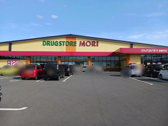 ラ・ソレイル　東小路の周辺|ドラッグストアコスモス幸町店まで1146m
