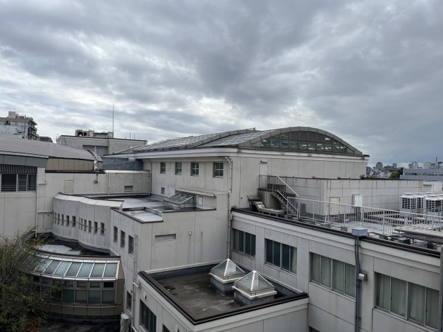 【展望】