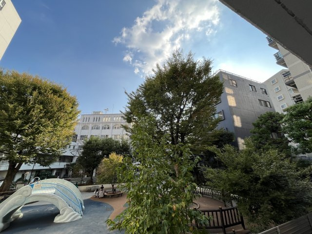 【展望】