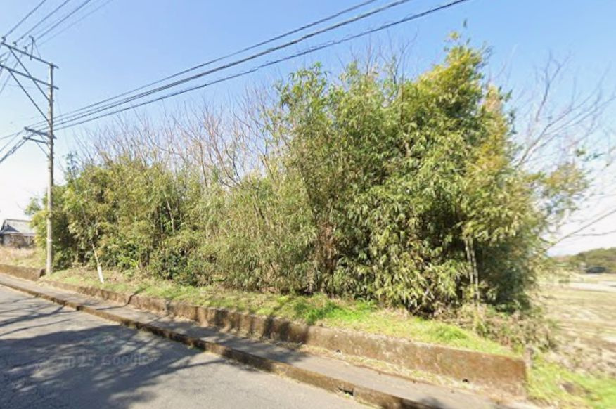 都城市豊満町の売地の外観|584-1（山林）