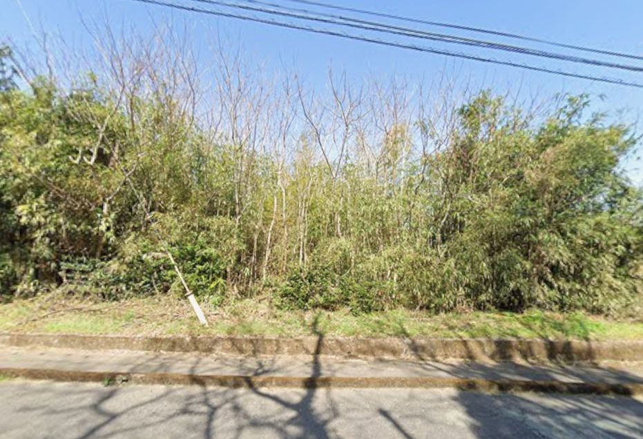 都城市豊満町の売地の外観|584-1（山林）